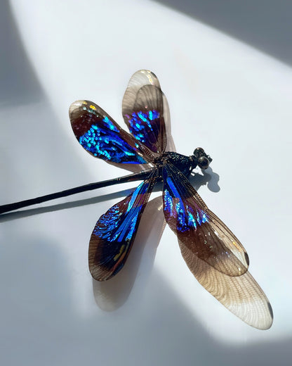 Glaskuppel 3x ''Exotic Dragonfly''