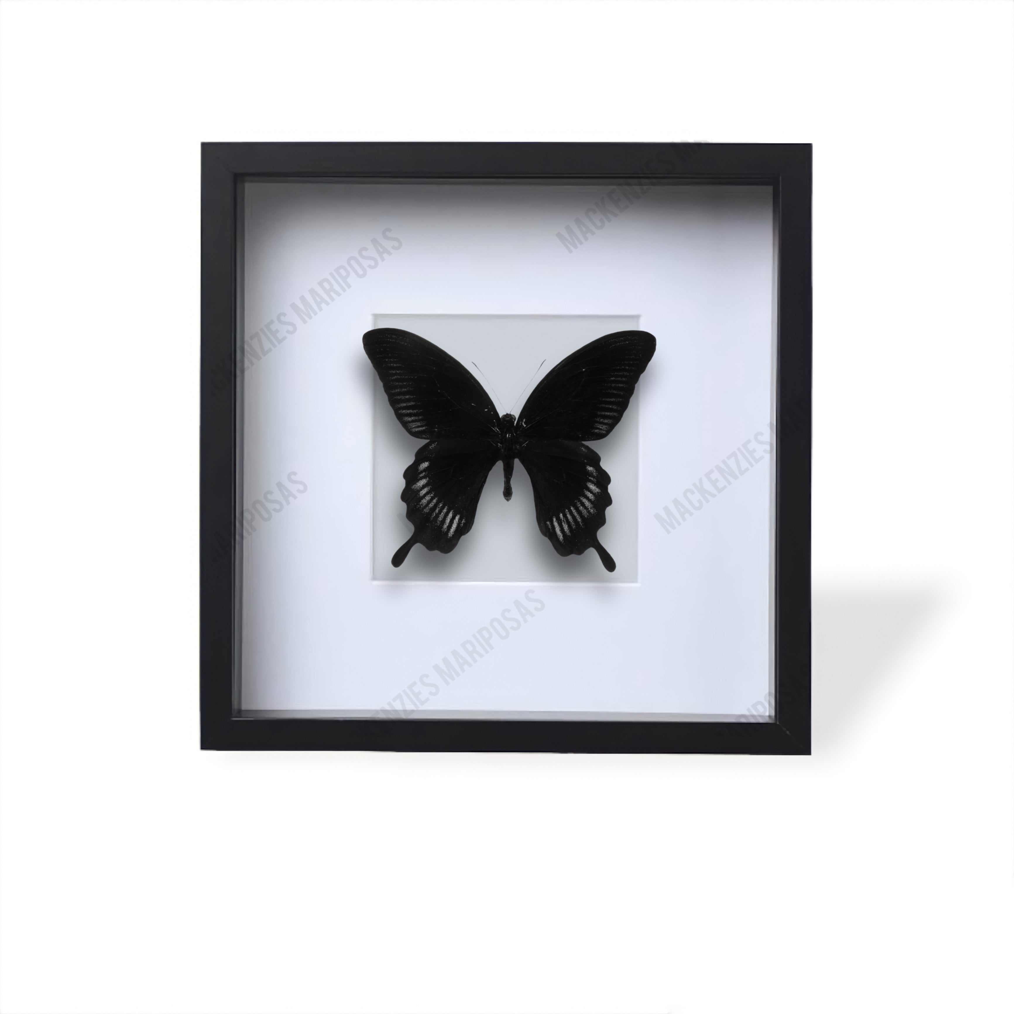 Black ''Mystical Soul''