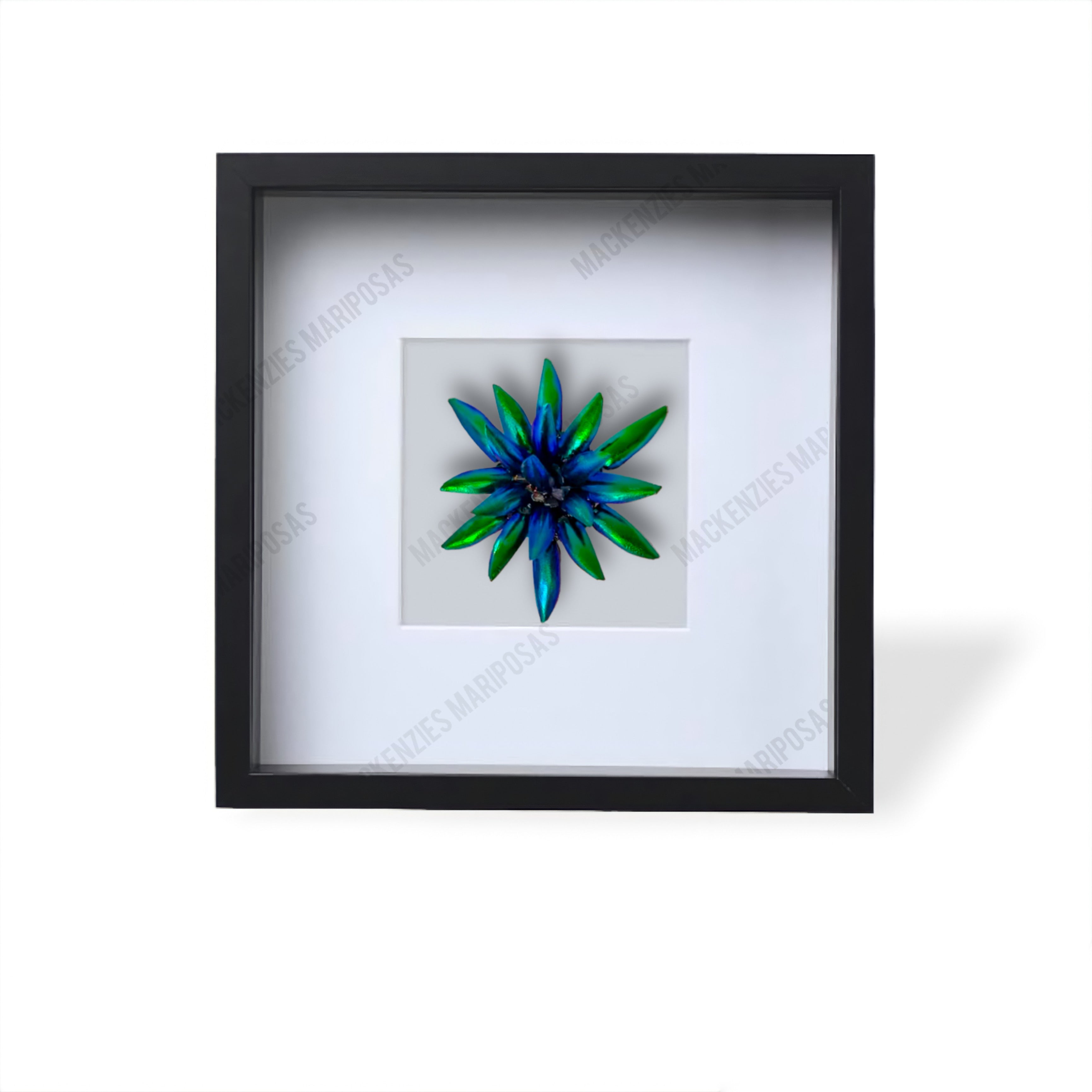 Black ''Lotus Flower''