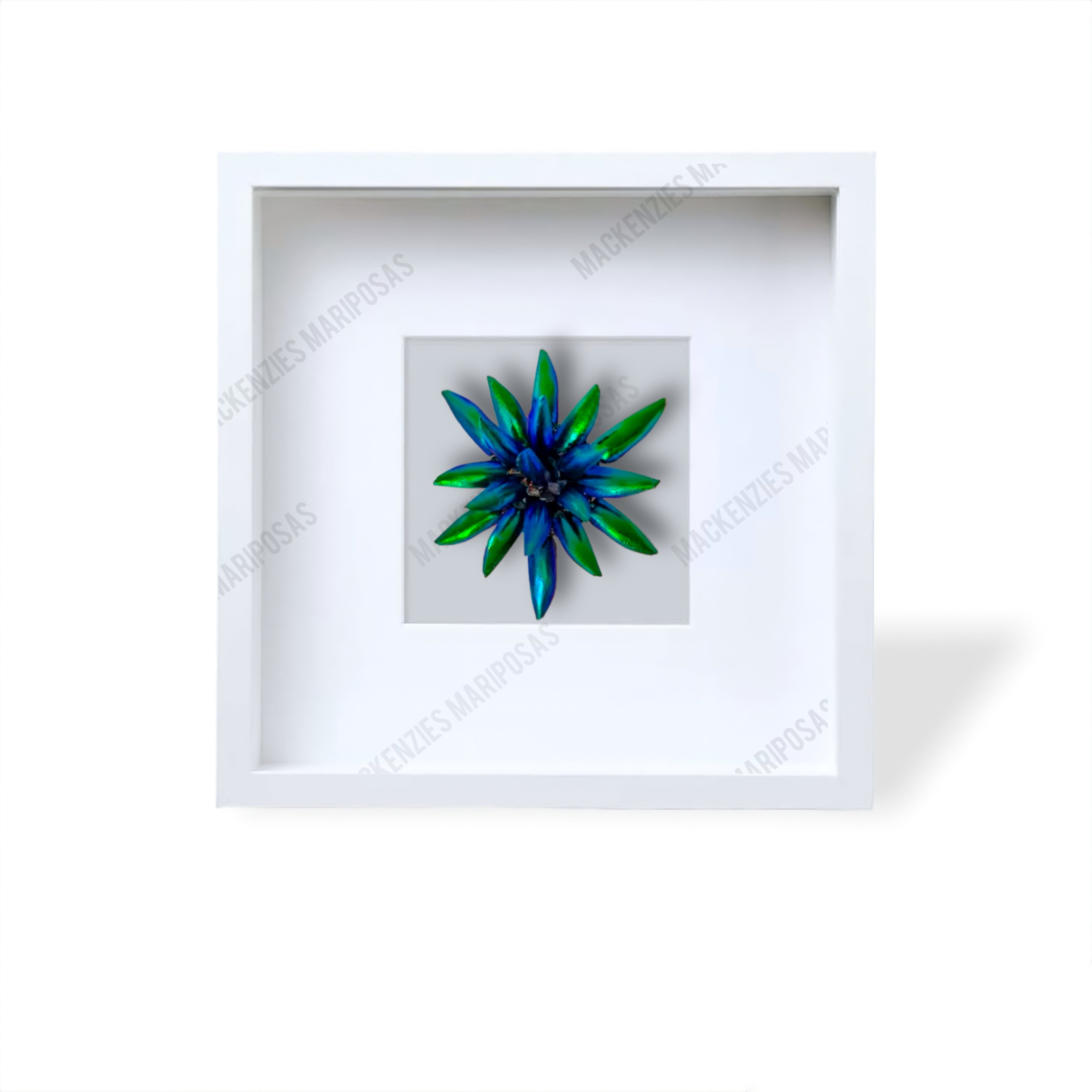 White''Lotus Flower''