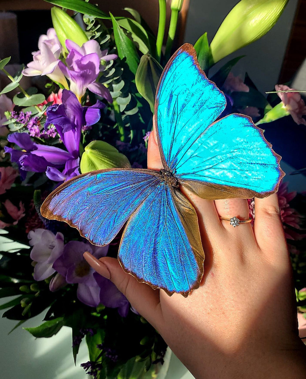 White ''Big Caribbean Dreams'' (Imperfect Beauty)