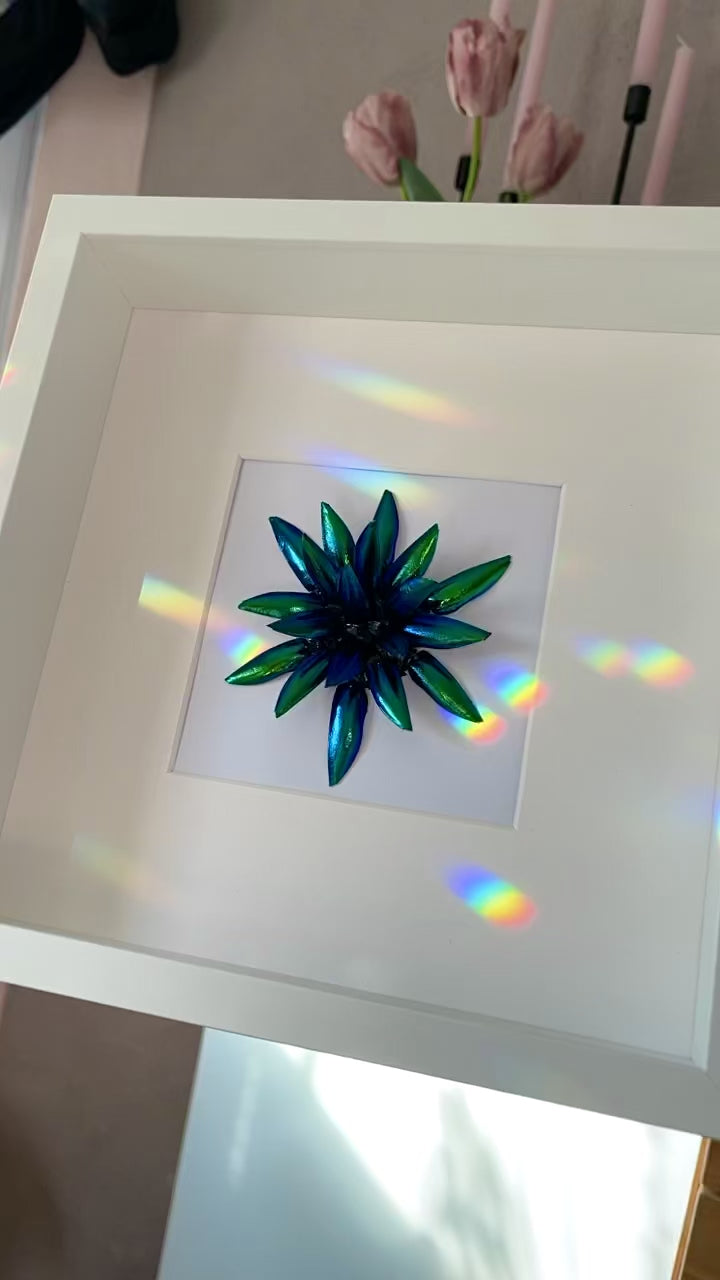 White''Lotus Flower''